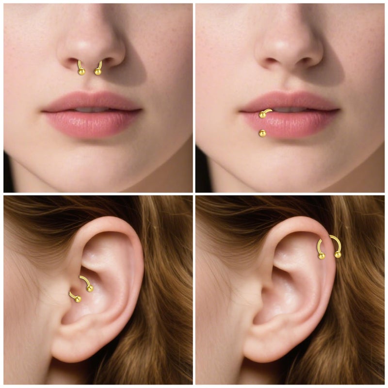 D.Bella 16G Surgical Steel Nose Septum Horseshoe Hoop Eyebrow Lip Navel Belly Nipple Piercing Ring 10mm Helix Tragus Daith Rook Earrings w Replacement Spikes - Image 5